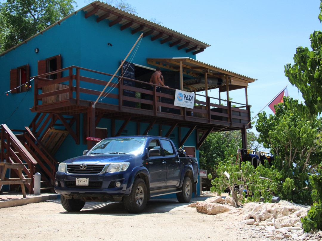 Ocean Dive-威廉斯塔德必去景点