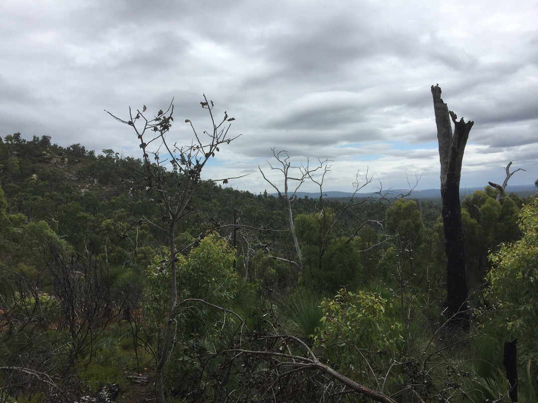 Mount Cooke-Darling Downs必去景点