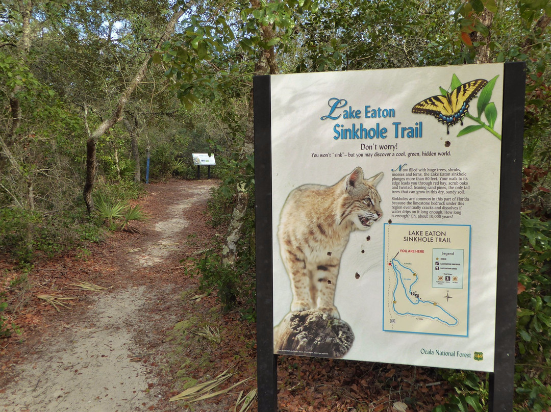 Lake Eaton Sinkhole Trail-Silver Springs必去景点