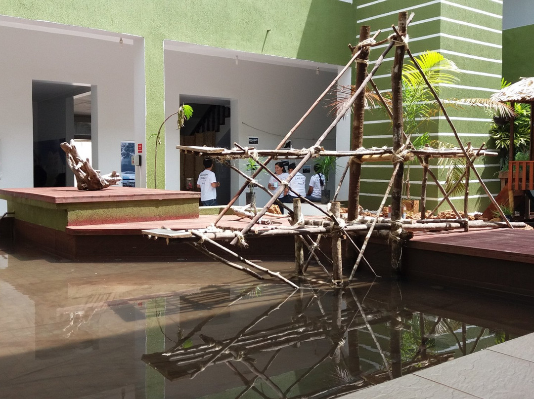 Museu Geologico do Estado de Rondonia-Porto Velho必去景点