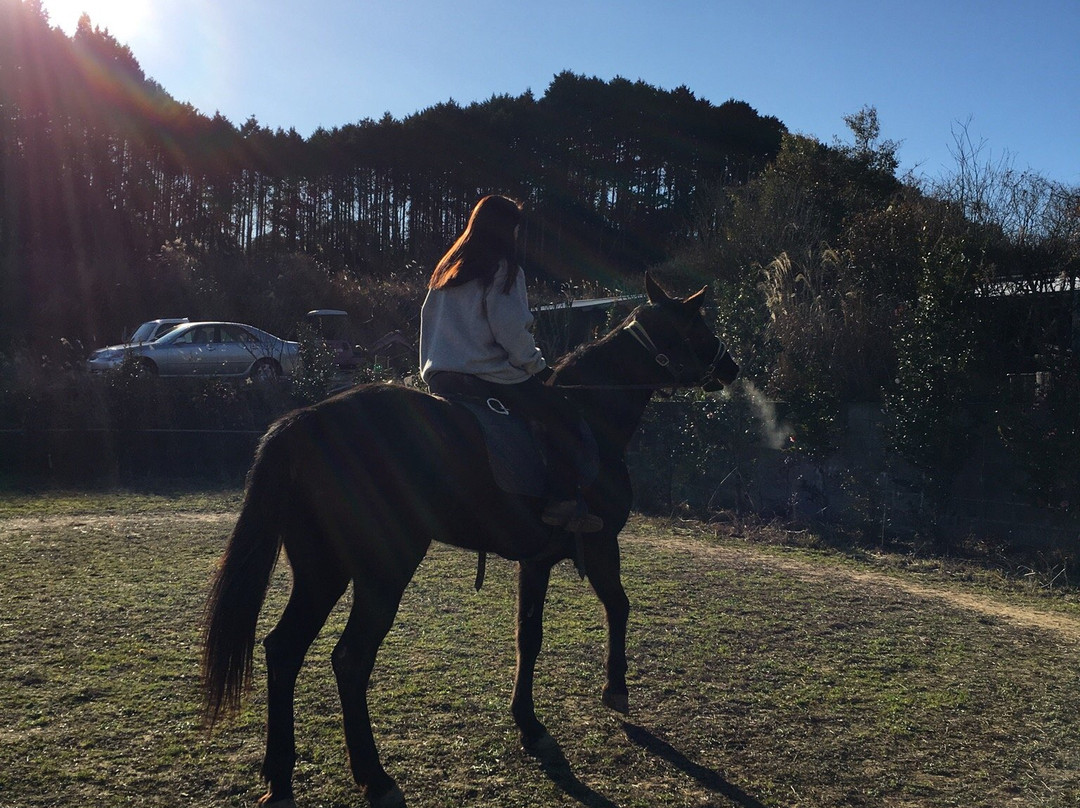 Takeo Ureshino Marchen Village-武雄市必去景点