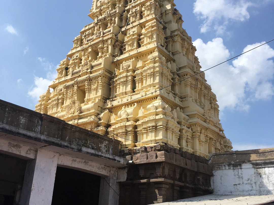 Devanathaswamy Temple景点图片