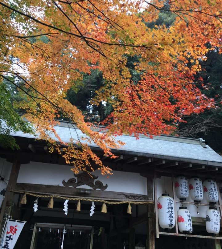 Ogura Shrine-大山崎町必去景点