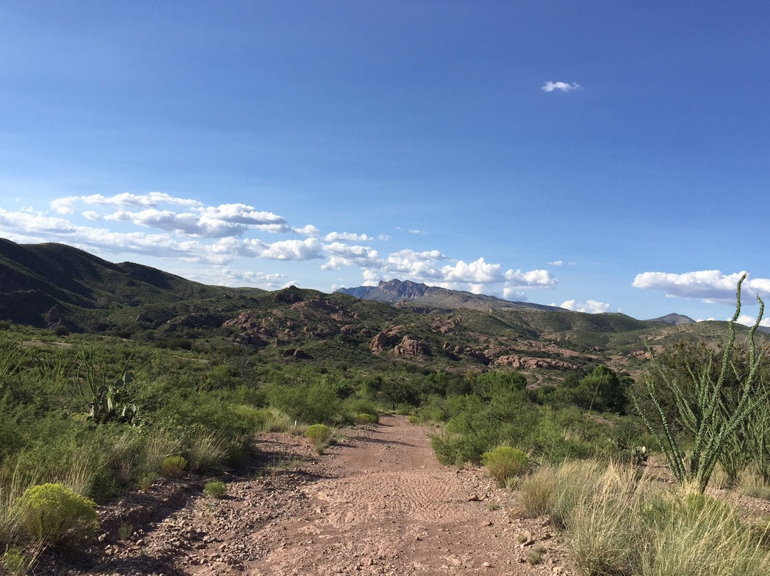 Muleshoe Ranch Preserve-Willcox必去景点