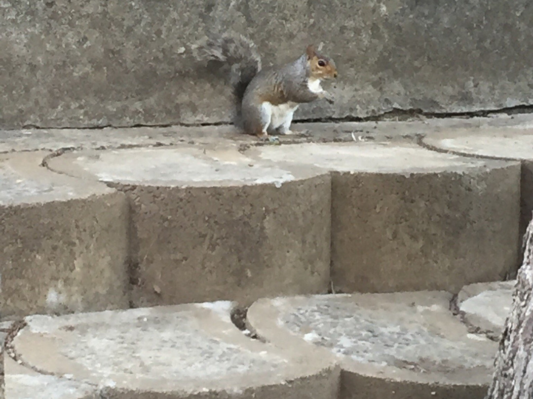 Wynberg Park-Wynberg必去景点