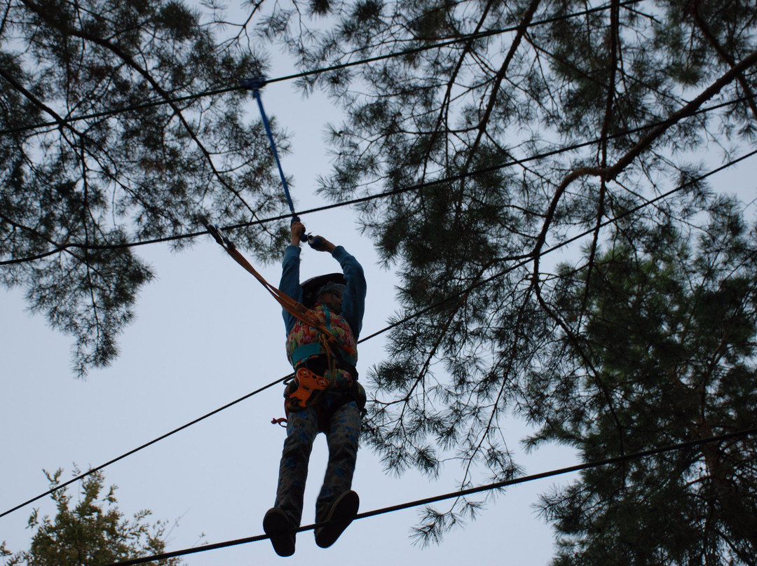 Adventure Park Tarzaniya景点图片