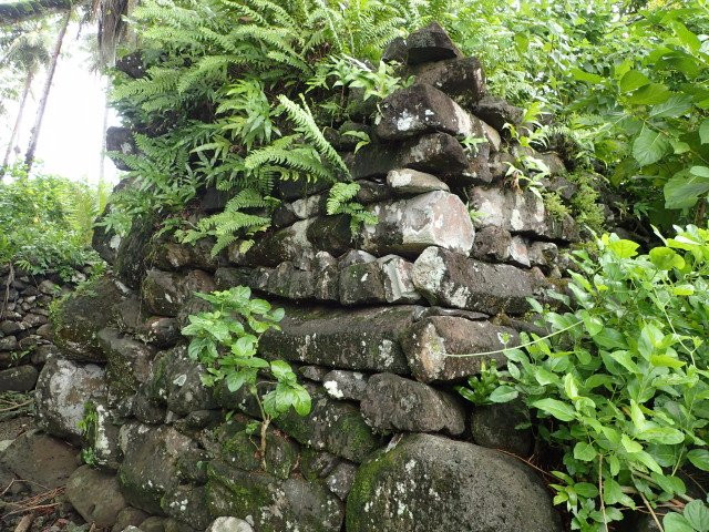 Lelu Island景点图片