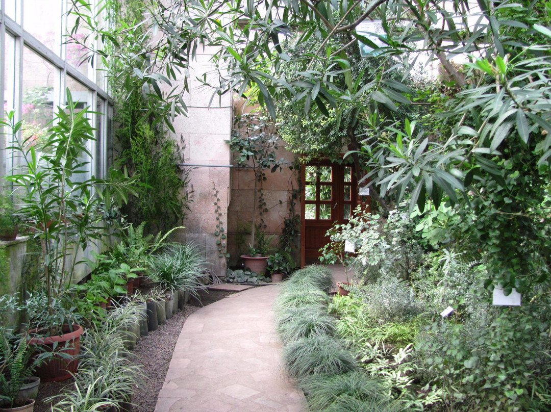 Siberian Botanical Garden景点图片