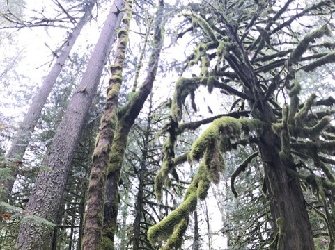 Teapot Hill Trail-Cultus Lake必去景点