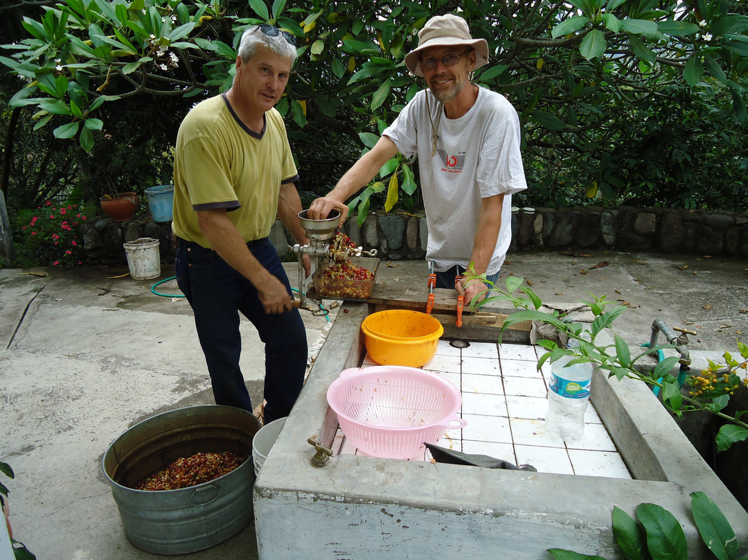 Santuario Hibiscus主图