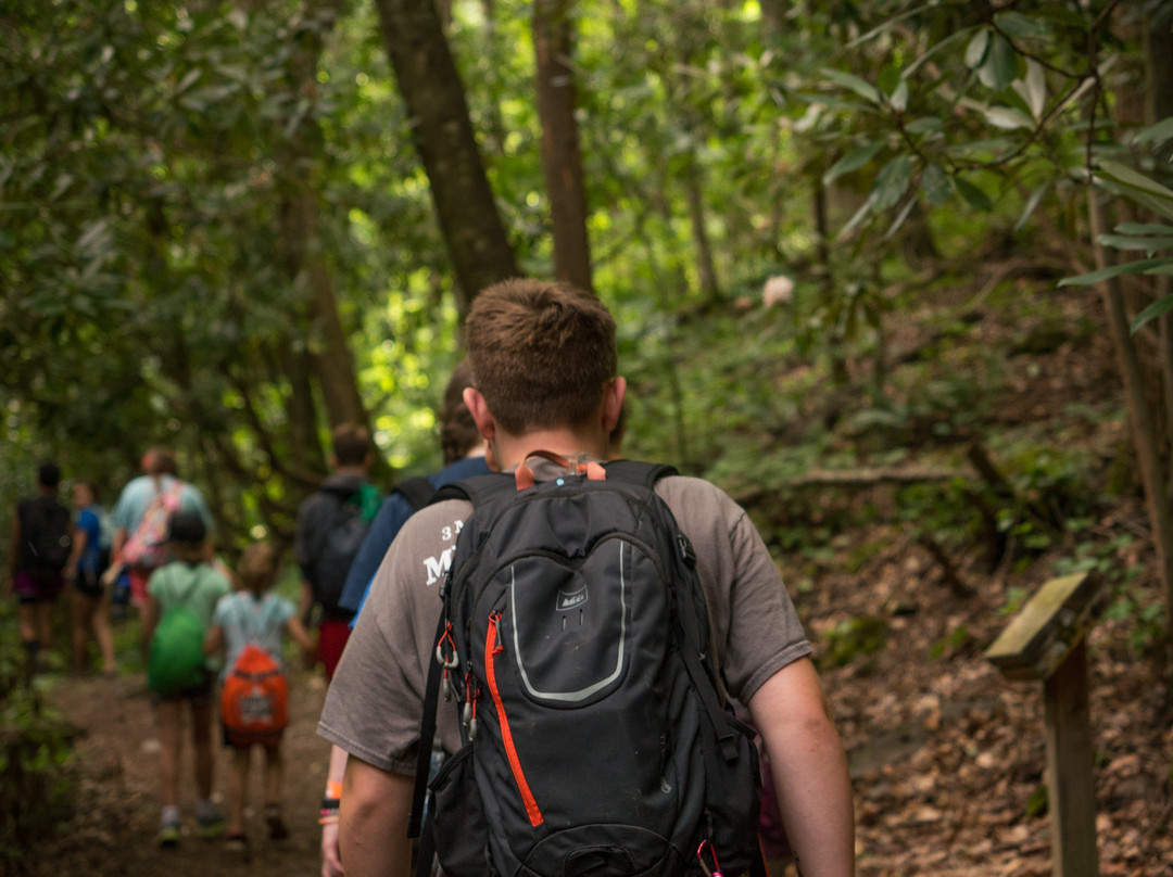 Alta Mons-Shawsville必去景点