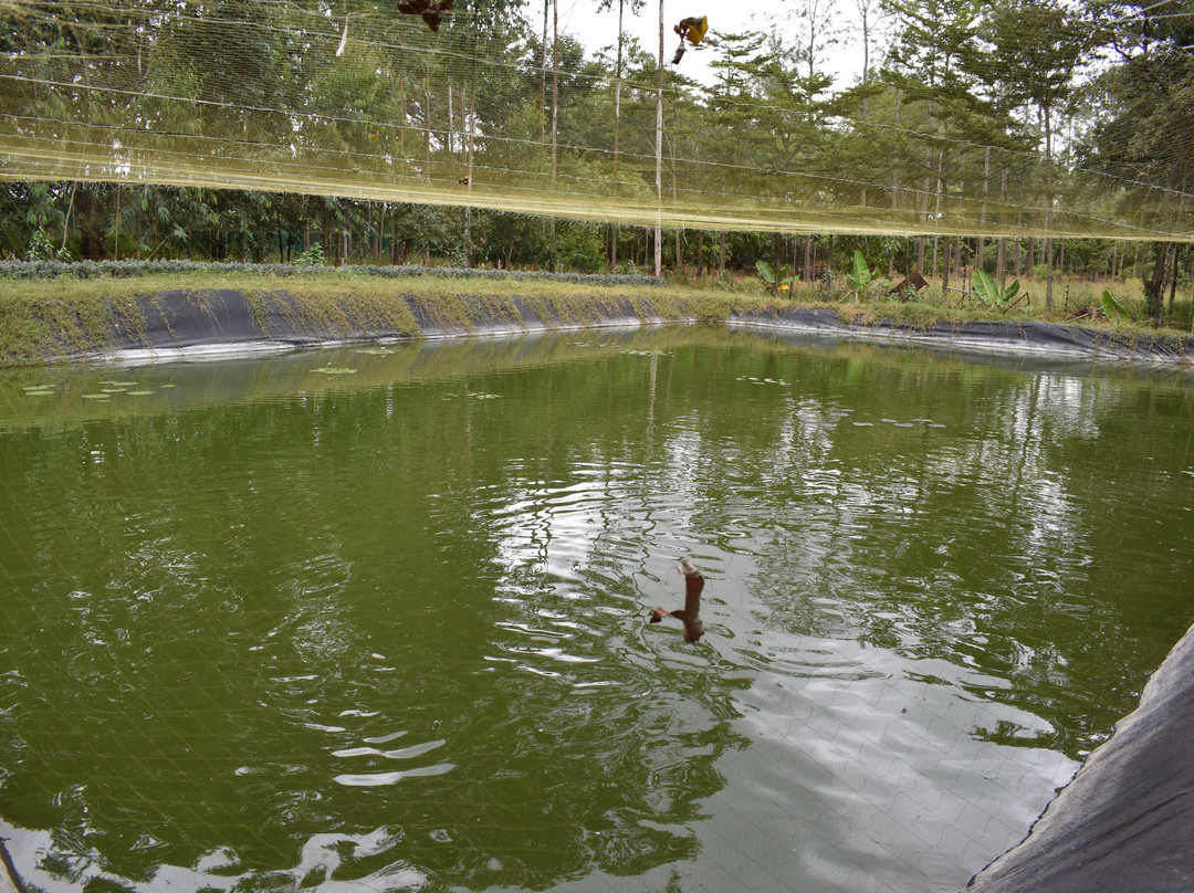 Muthoki Country Lodge主图