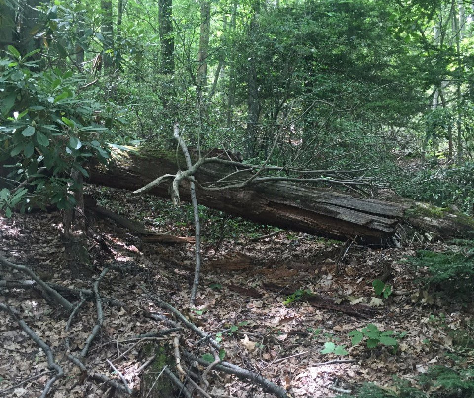 Wawayanda State Park-Hewitt必去景点