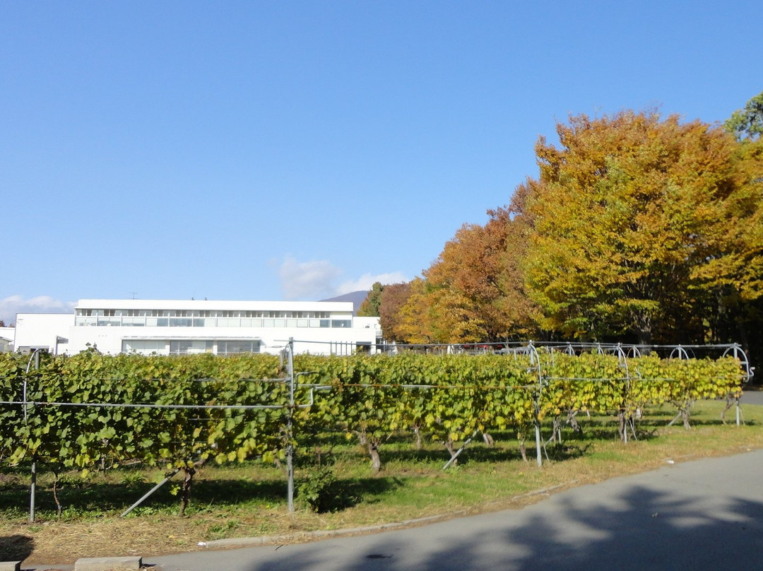 Manns Wine Komoro Winery-小诸市必去景点