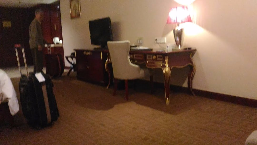 维也纳大饭店主图