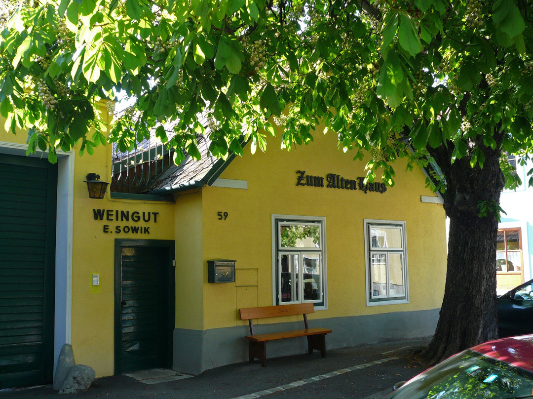 Sooss餐馆和美食-Weingut Sovik