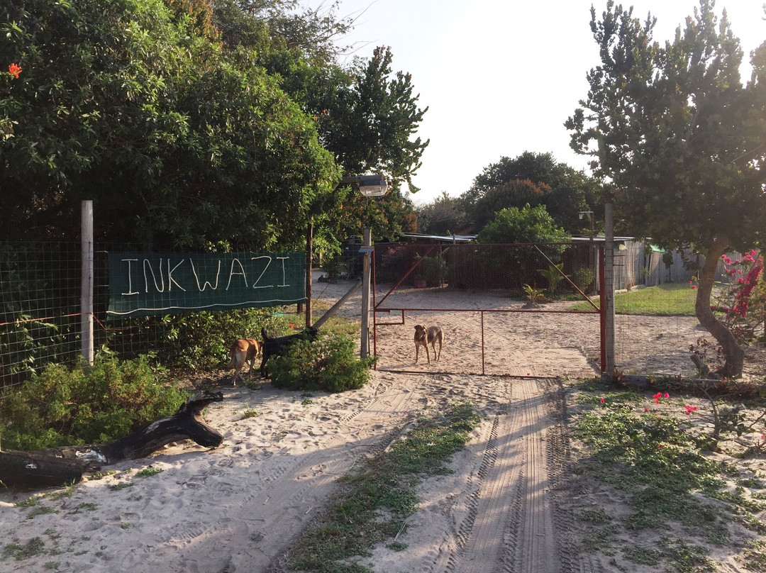 索德瓦纳旅游攻略图片