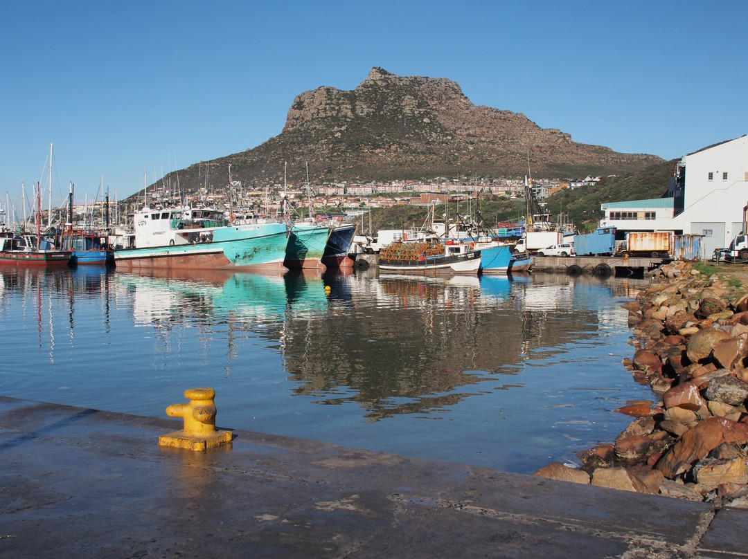 Sasa Hivi Explorers-开普敦中心区必去景点