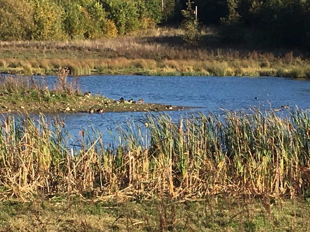 Rainton Meadows Nature Reserve & Visitor Centre