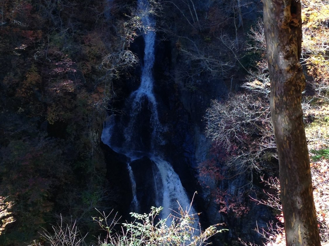 Konaka Falls景点图片