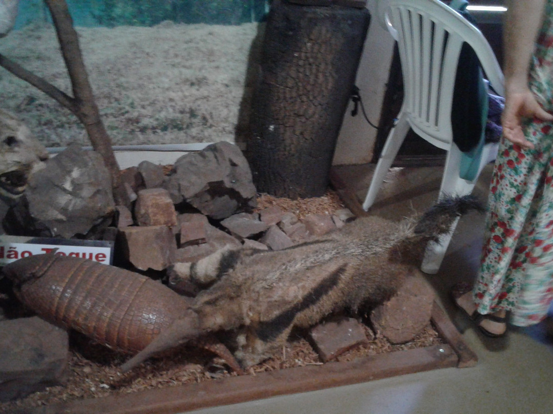 Museu de Historia Natural de Cravinhos-Cravinhos必去景点