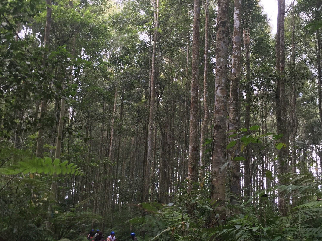 Brother Bali Adventure-巴图瑞提必去景点