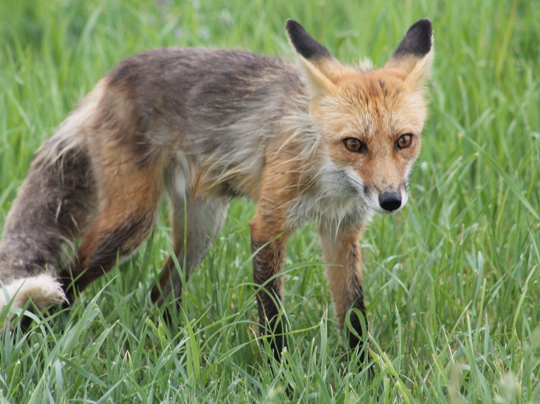Vega State Park-Collbran必去景点