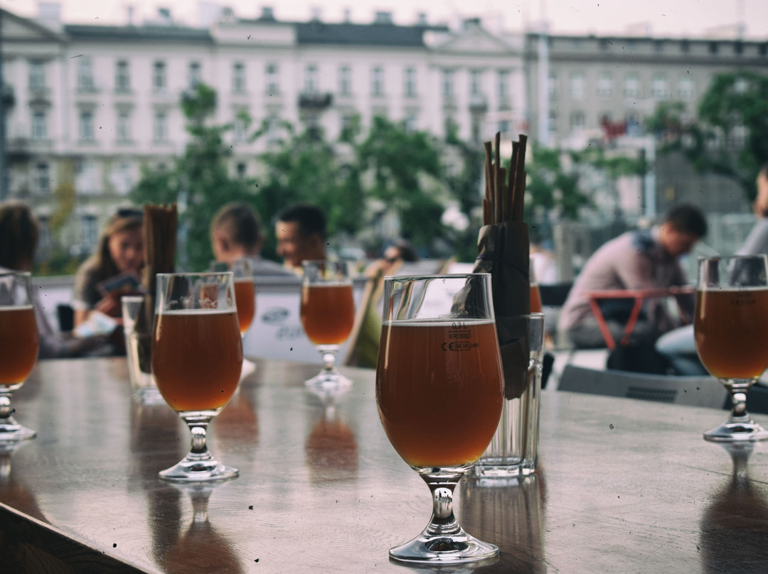 Warsaw Craft Beer Tour-华沙必去景点