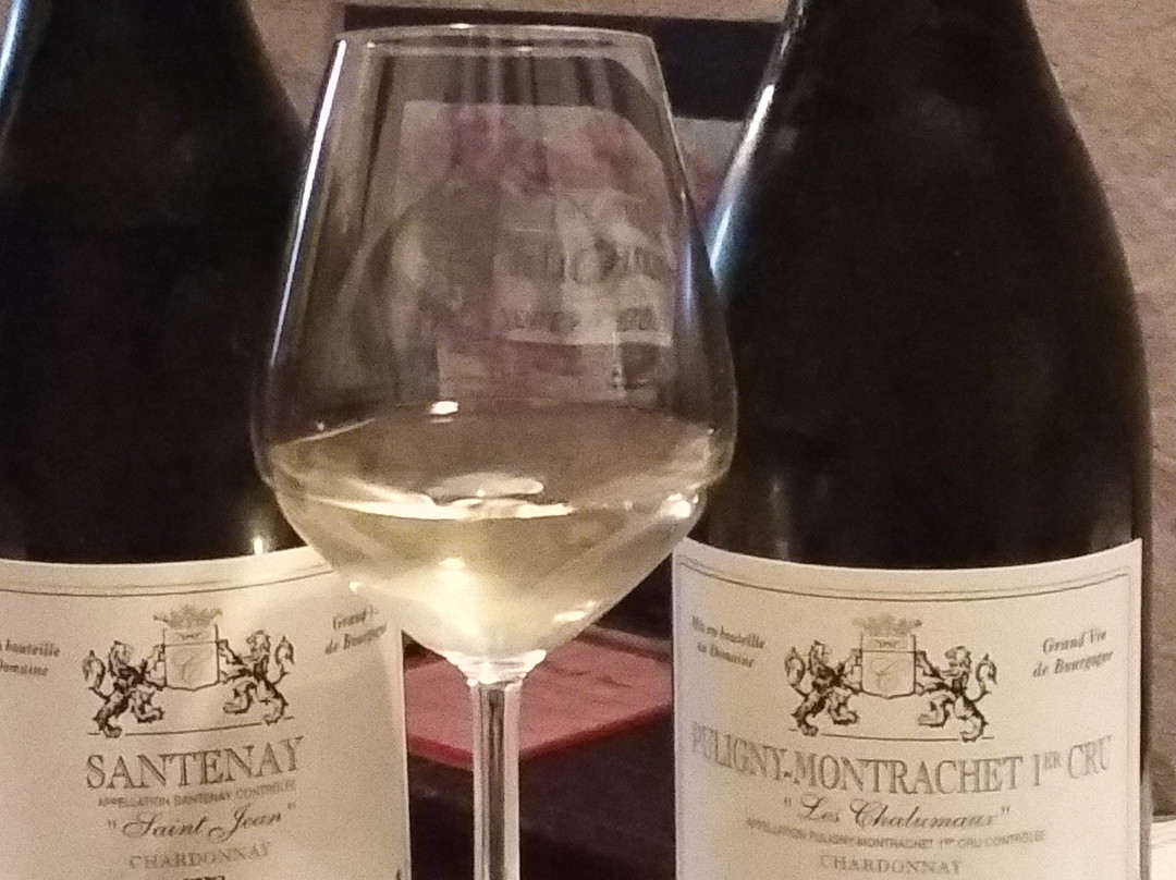 Domaine De La Choupette-Gutrin Fils景点图片