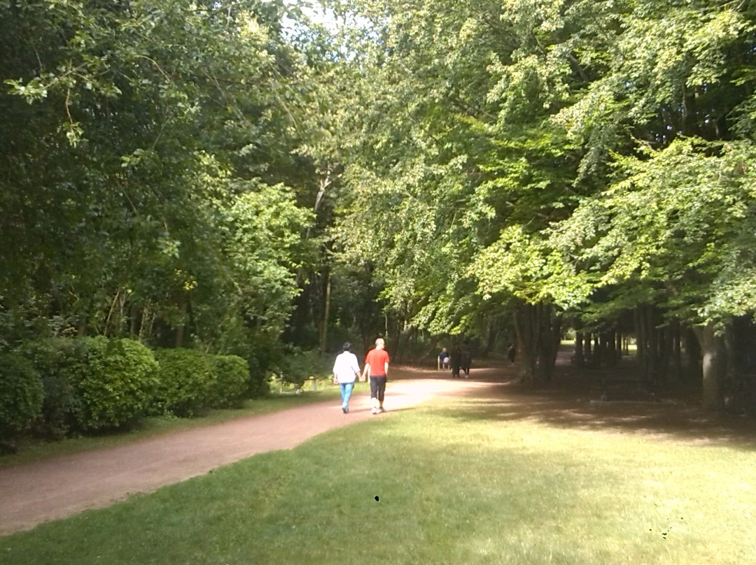 Parc des Cytises景点图片