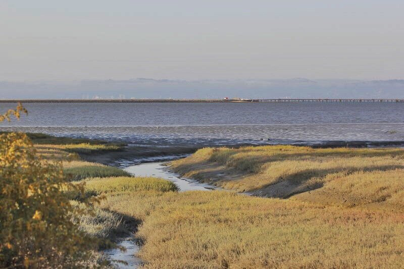 Shorebird Sanctuary-伯灵格姆必去景点