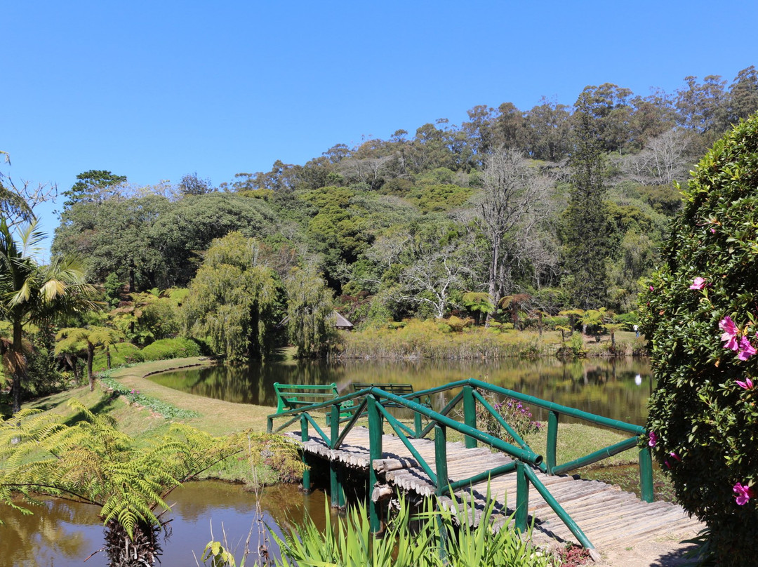 Vumba Botanical Gardens and Reserve景点图片