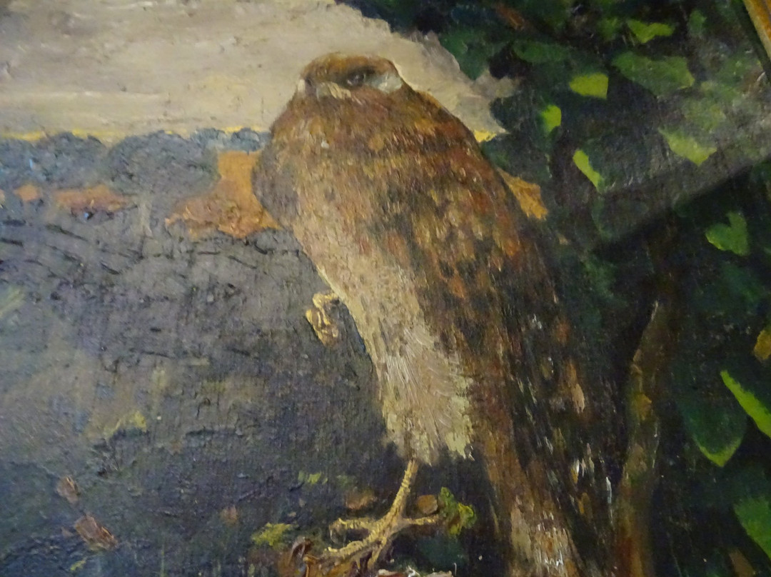 Museum Veere景点图片