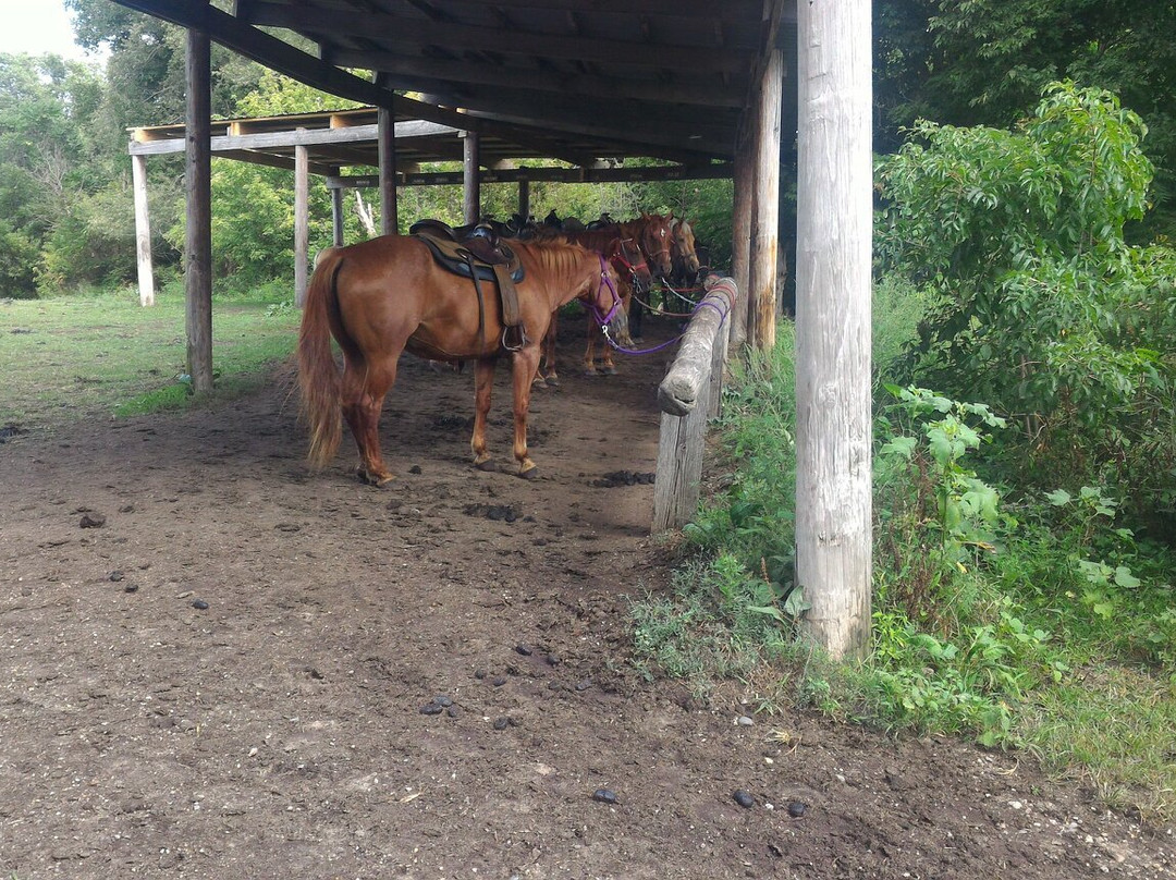 Deka Di Riding Stables-Pierceton必去景点