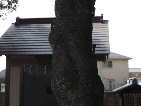 Shobu Shrine-久喜市必去景点