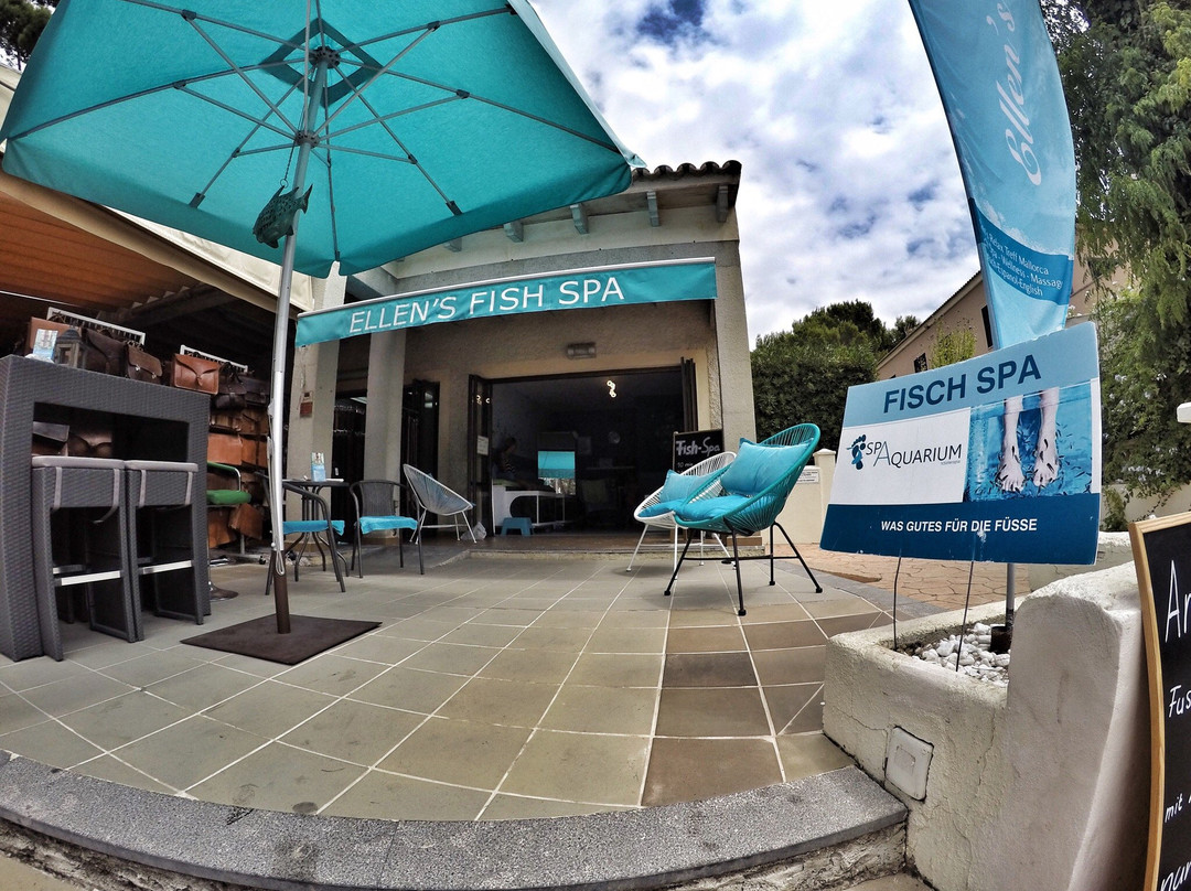 Spa Aquarium-Cala Ratjada必去景点