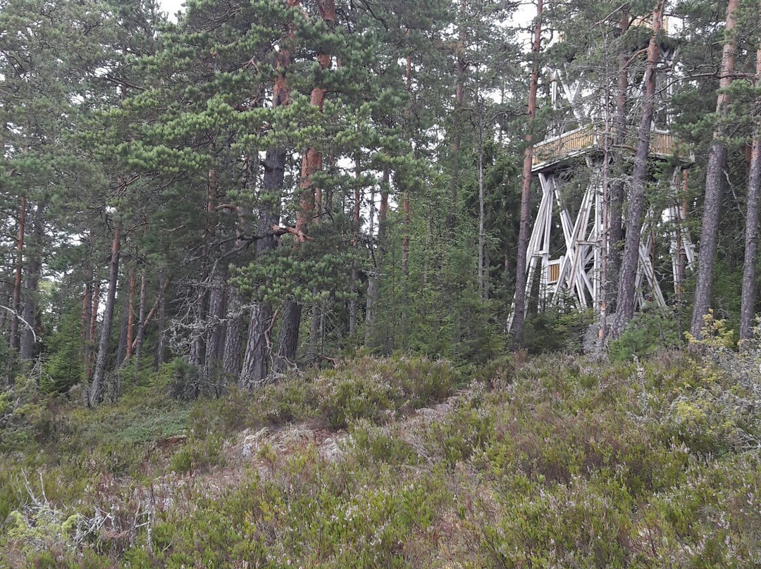 Paijatsalo Trail-Sysma必去景点