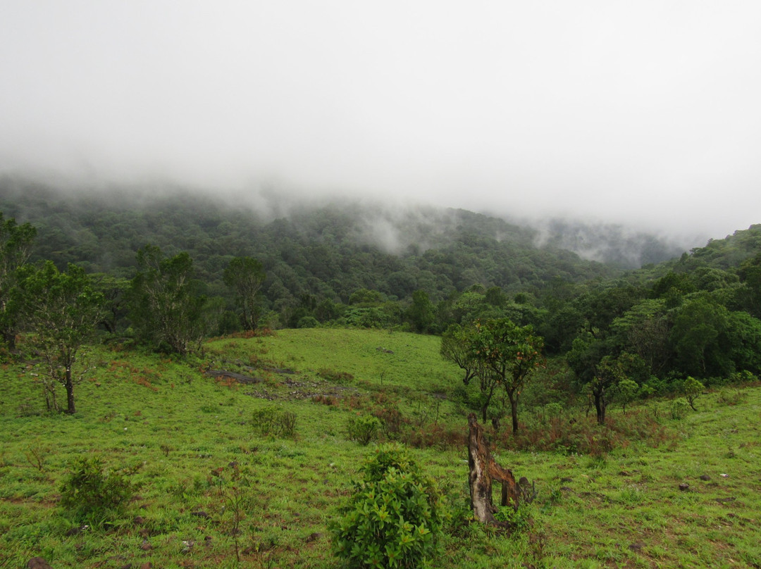 Pushpagiri Wildlife Sanctuary景点图片