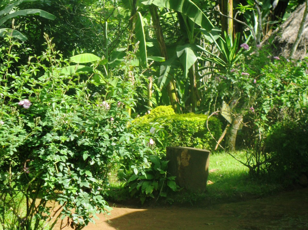 Banana Jungle Lodge