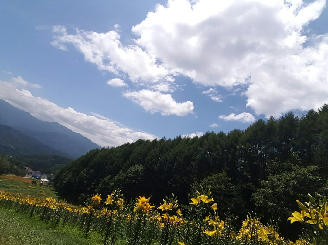 White World Oze Iwakura景点图片