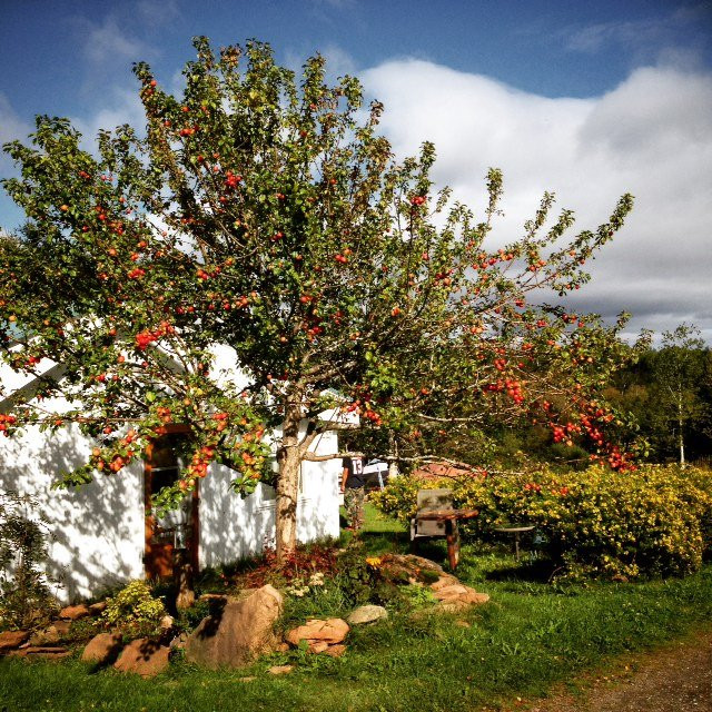 Gîte Aux jardins de l'Anse主图