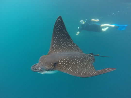 Galapagos Fun Dive-Puerto Baquerizo Moreno必去景点