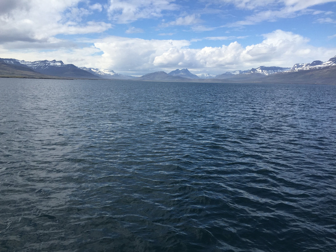 Travel East - Day Tours-埃伊尔斯塔济必去景点