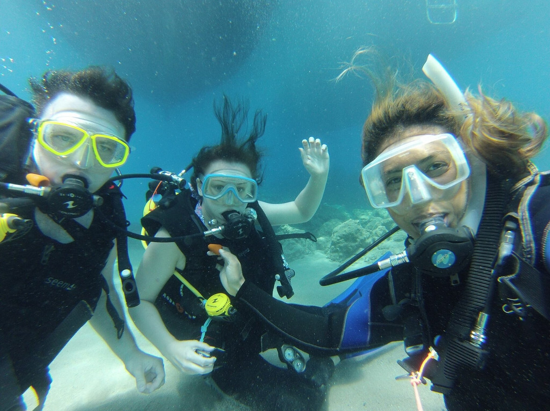 Dream Dive Centre景点图片