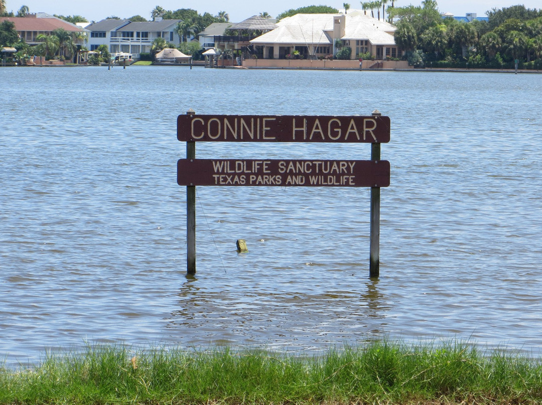 Connie Hagar Wildlife Sanctuary-罗克波特必去景点