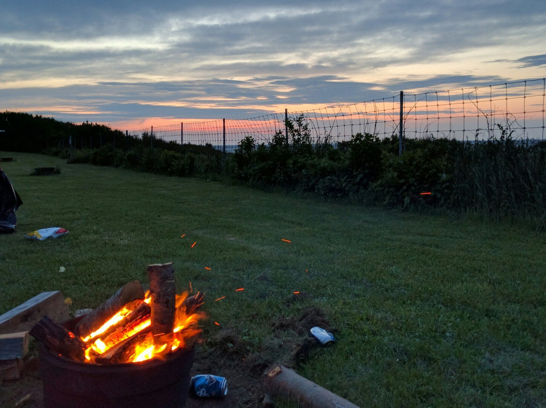 Murray Beach Provincial Park-Murray Corner必去景点