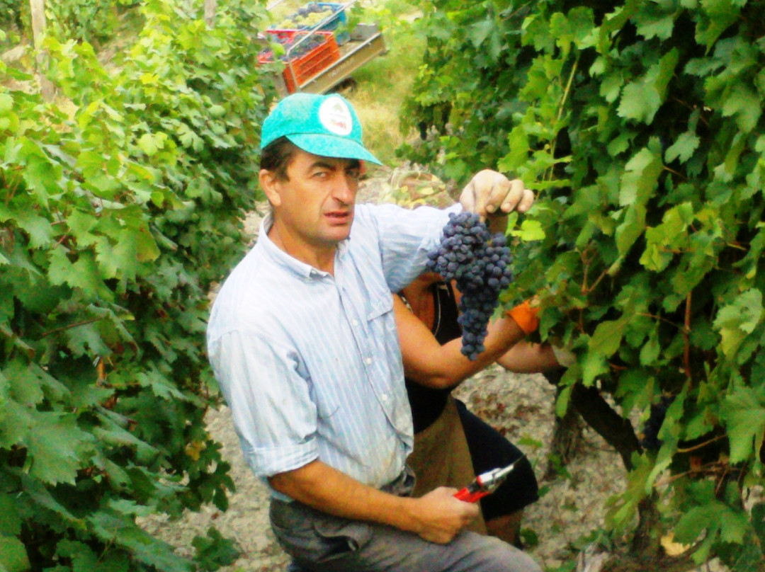 Azienda Agricola - Ca ed Curen景点图片