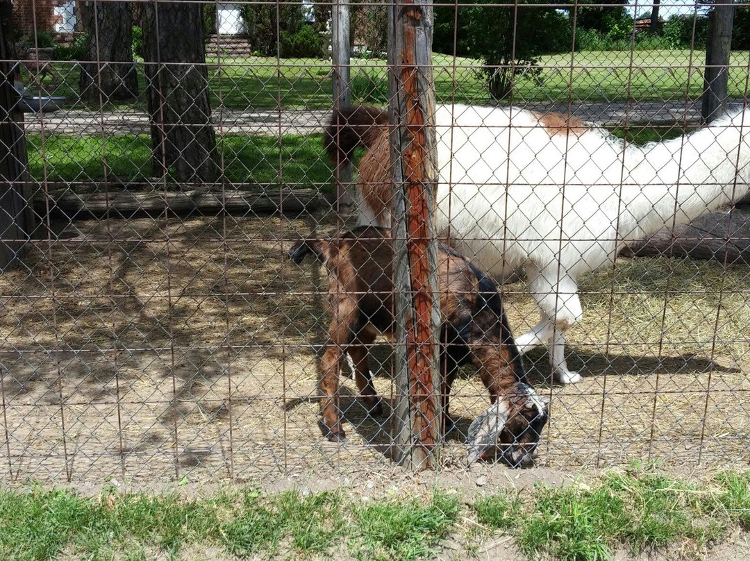 Lionels Farm-惠特彻奇-史托维尔必去景点