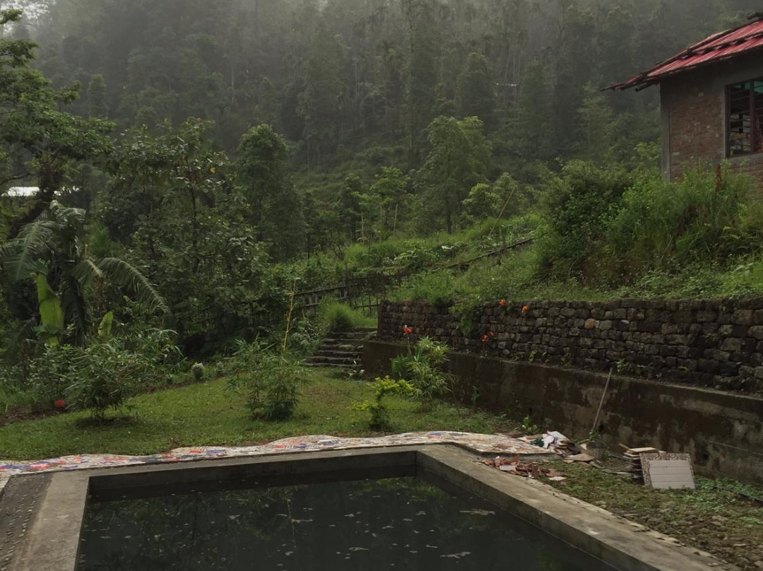 Petrichor Farms景点图片