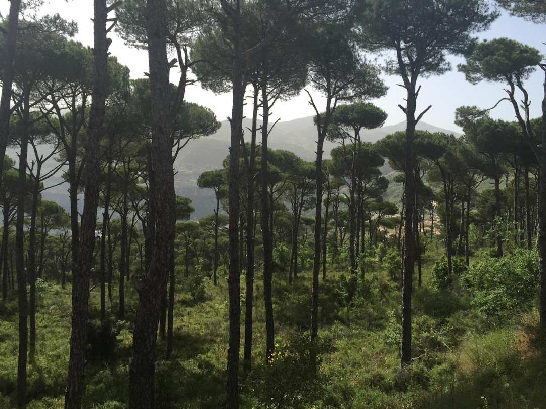 Jezzine Waterfall-Jezzine必去景点
